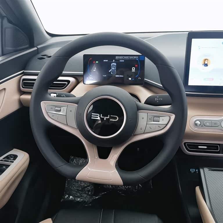 Seagull 2025 Smart Driving Edition 305km Vitality Edition Seagull 2025 Smart Driving Edition 305km Vitality Edition