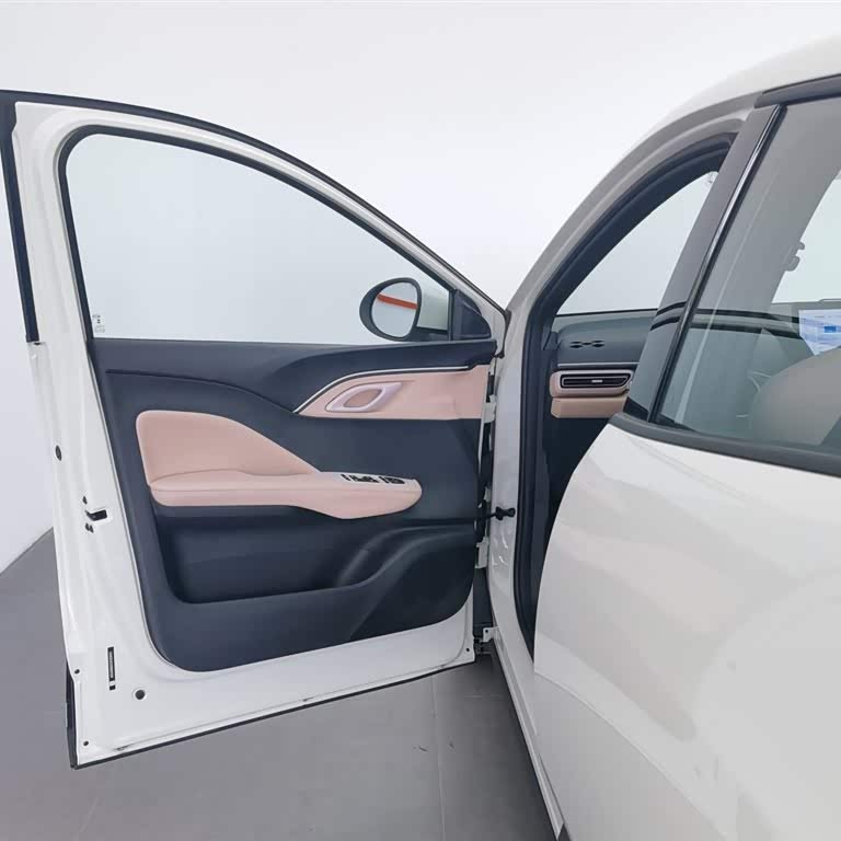 Seagull 2025 Smart Driving Edition 305km Vitality Edition Seagull 2025 Smart Driving Edition 305km Vitality Edition