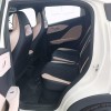 Seagull 2025 Smart Driving Edition 305km Vitality Edition