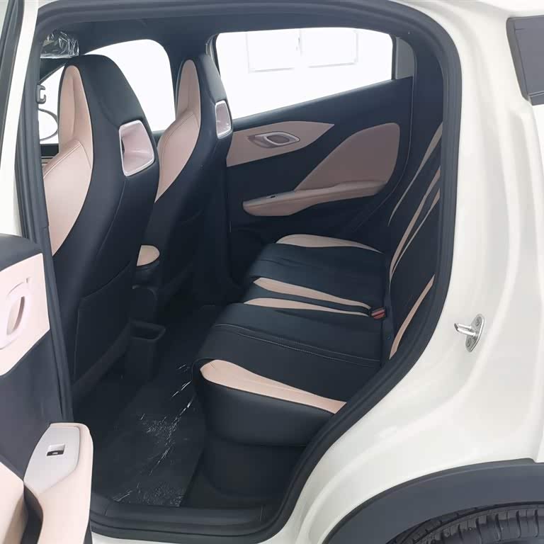 Seagull 2025 Smart Driving Edition 305km Vitality Edition Seagull 2025 Smart Driving Edition 305km Vitality Edition