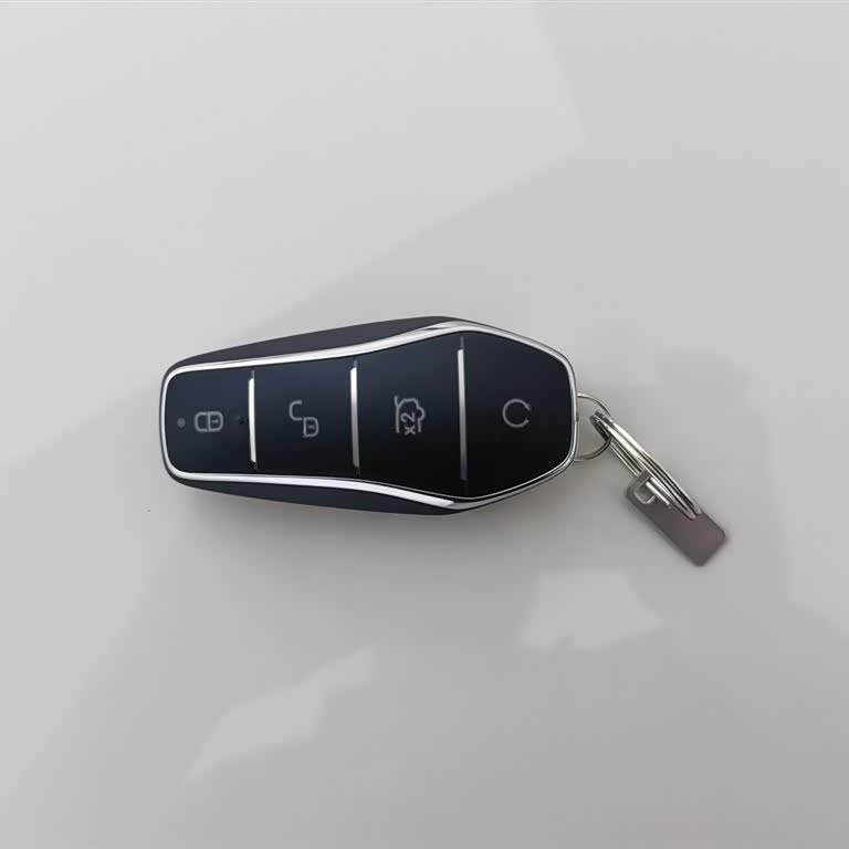 Seagull 2025 Smart Driving Edition 305km Vitality Edition Seagull 2025 Smart Driving Edition 305km Vitality Edition