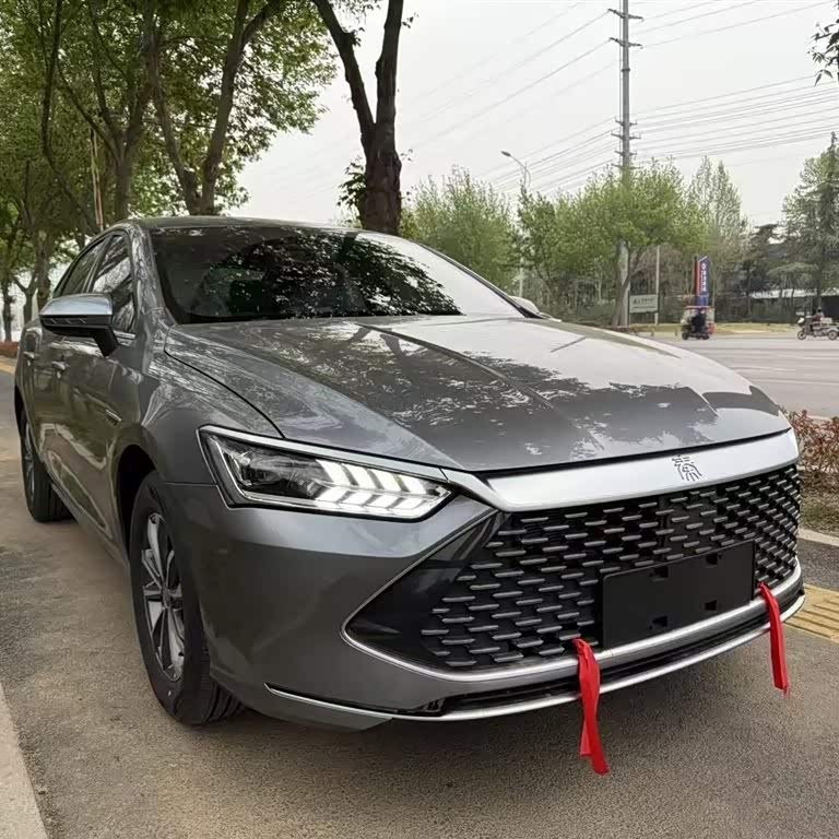 Qin PLUS 2024 Honor Edition DM-i 55KM Leading Edition Qin PLUS 2024 Honor Edition DM-i 55KM Leading Edition