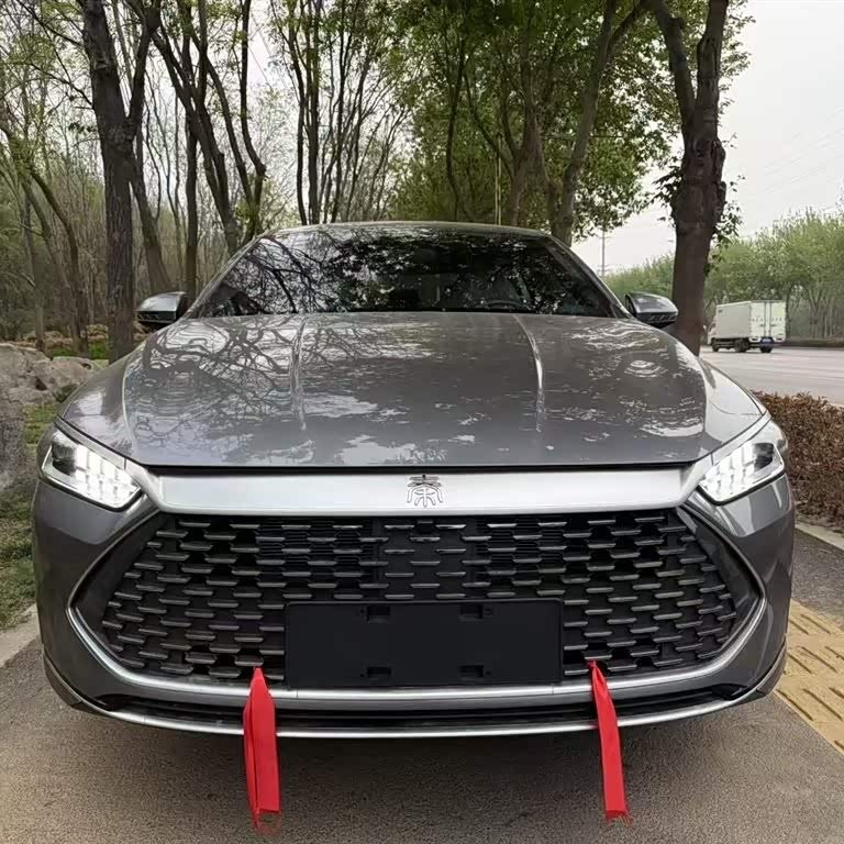 Qin PLUS 2024 Honor Edition DM-i 55KM Leading Edition Qin PLUS 2024 Honor Edition DM-i 55KM Leading Edition