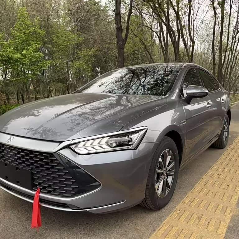 Qin PLUS 2024 Honor Edition DM-i 55KM Leading Edition Qin PLUS 2024 Honor Edition DM-i 55KM Leading Edition