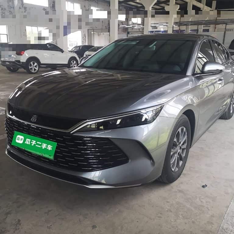 Qin L 2024 DM-i 80KM Leading Edition