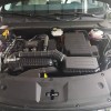 Qin L 2024 DM-i 80KM Leading Edition