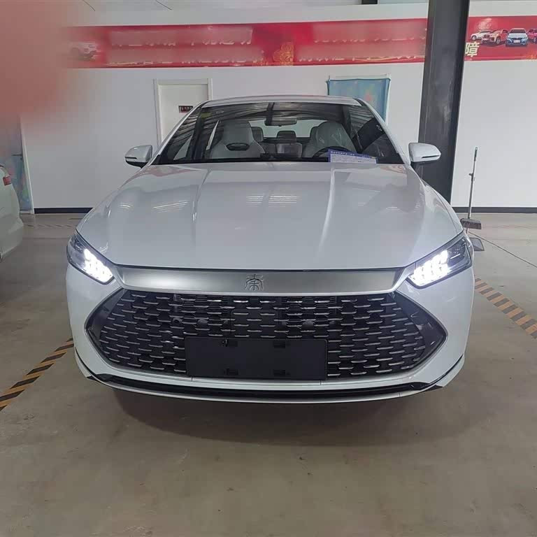 Qin PLUS 2024 Honor Edition DM-i 55KM Leading Edition Qin PLUS 2024 Honor Edition DM-i 55KM Leading Edition