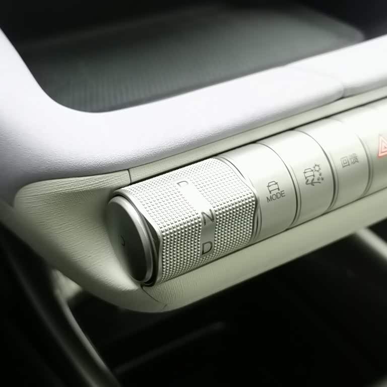 Dolphin 2025 420km Fashion Edition Dolphin 2025 420km Fashion Edition