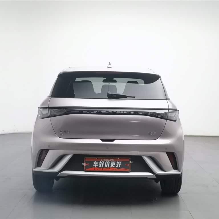 Dolphin 2025 420km Fashion Edition Dolphin 2025 420km Fashion Edition