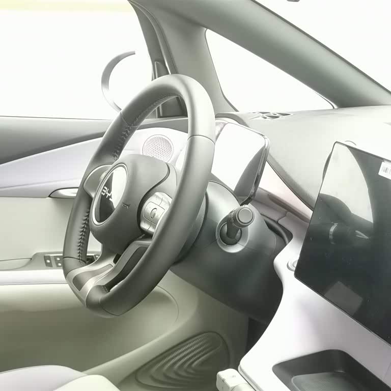 Dolphin 2025 420km Fashion Edition Dolphin 2025 420km Fashion Edition