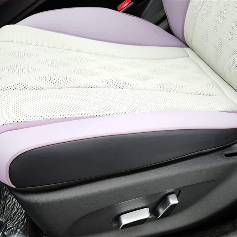 Dolphin 2025 420km Fashion Edition Dolphin 2025 420km Fashion Edition