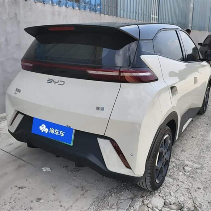 Seagull 2024 Glory Edition 405km Flying Edition Seagull 2024 Glory Edition 405km Flying Edition