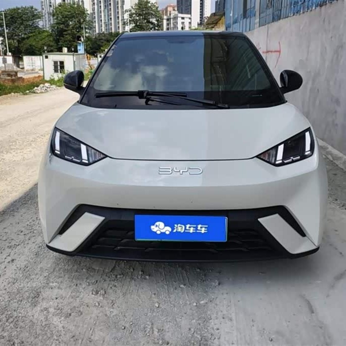 Seagull 2024 Glory Edition 405km Flying Edition Seagull 2024 Glory Edition 405km Flying Edition
