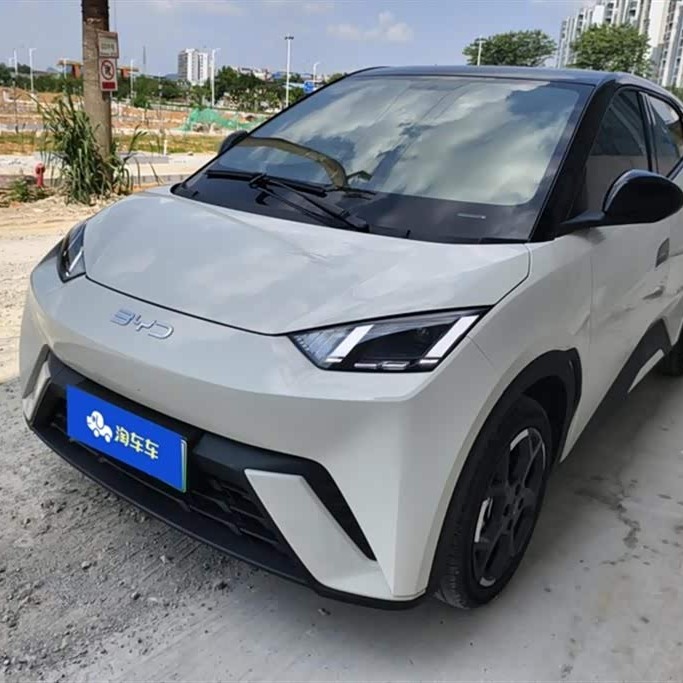 Seagull 2024 Glory Edition 405km Flying Edition Seagull 2024 Glory Edition 405km Flying Edition