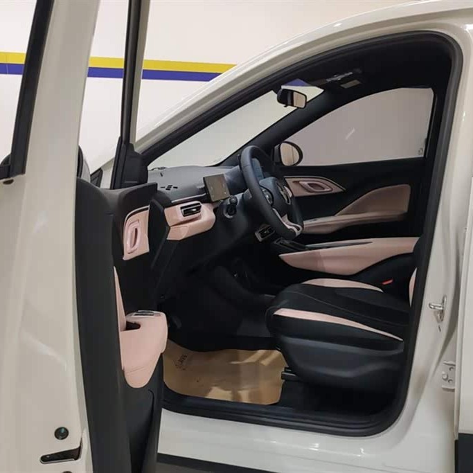 Seagull 2025 305km Vitality Edition Seagull 2025 305km Vitality Edition