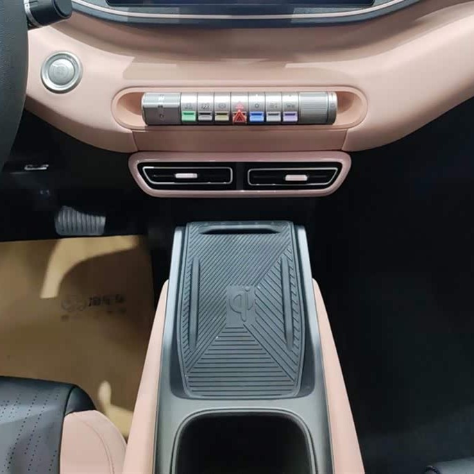 Seagull 2025 305km Vitality Edition Seagull 2025 305km Vitality Edition