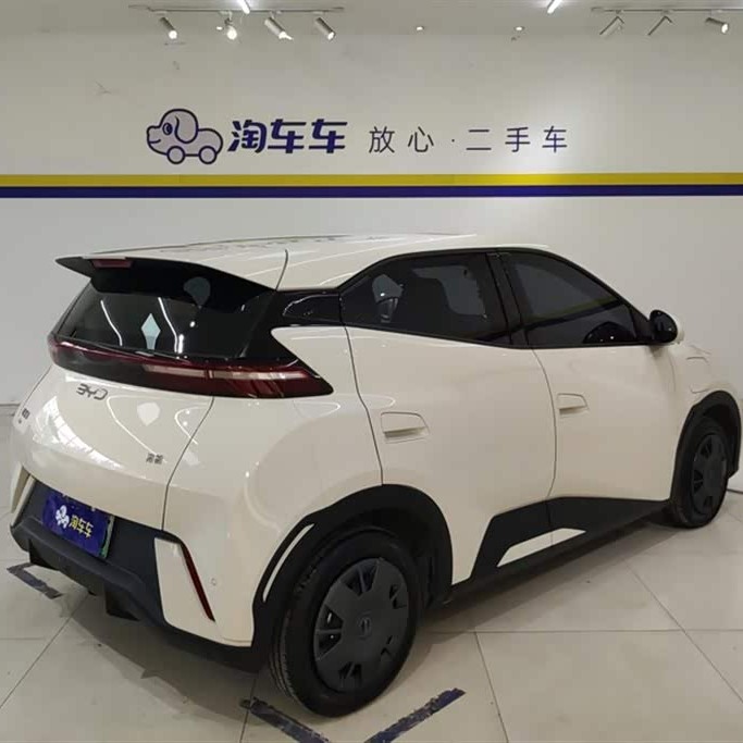 Seagull 2025 305km Vitality Edition Seagull 2025 305km Vitality Edition