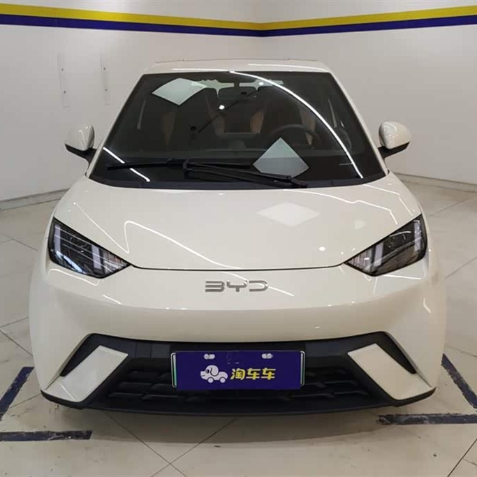 Seagull 2025 305km Vitality Edition Seagull 2025 305km Vitality Edition