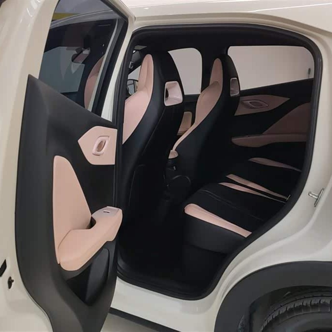 Seagull 2025 305km Vitality Edition Seagull 2025 305km Vitality Edition
