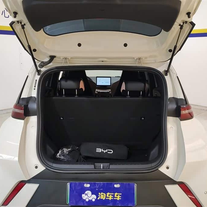 Seagull 2025 305km Vitality Edition Seagull 2025 305km Vitality Edition