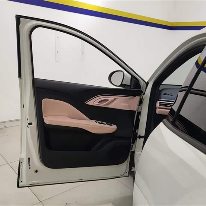 Seagull 2025 305km Vitality Edition Seagull 2025 305km Vitality Edition