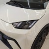 Seagull 2025 305km Vitality Edition Seagull 2025 305km Vitality Edition