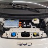 Seagull 2025 305km Vitality Edition Seagull 2025 305km Vitality Edition