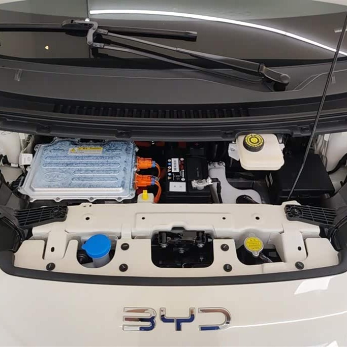Seagull 2025 305km Vitality Edition Seagull 2025 305km Vitality Edition