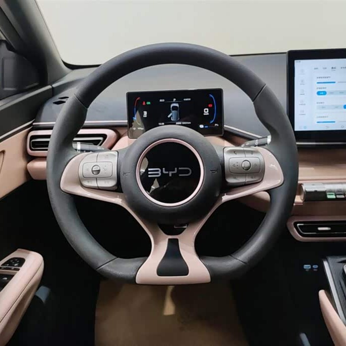Seagull 2025 305km Vitality Edition Seagull 2025 305km Vitality Edition