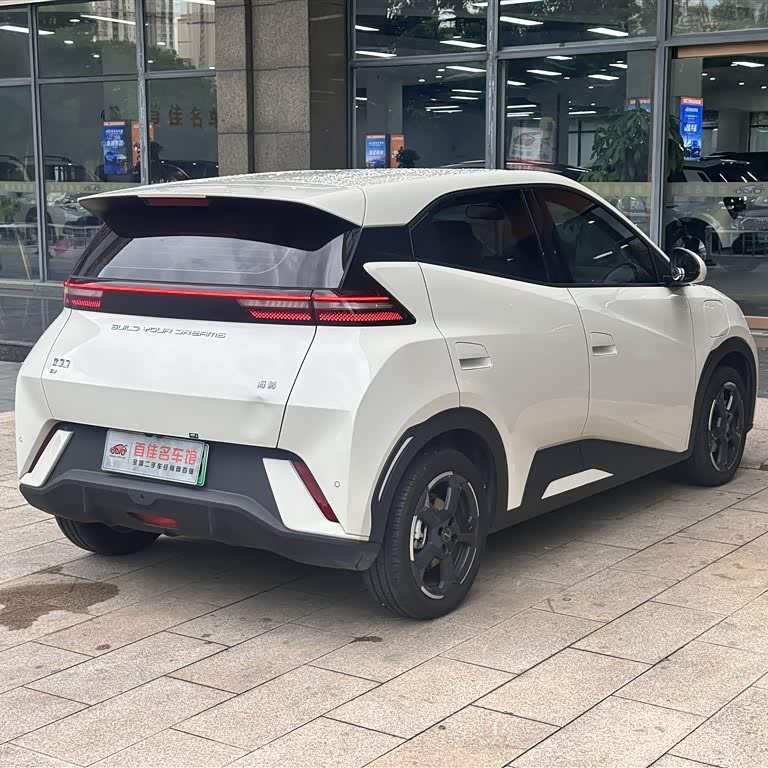 Seagull 2023 Freedom Edition Seagull 2023 Freedom Edition