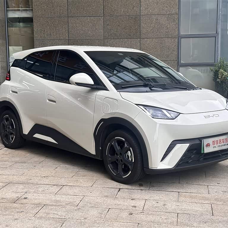 Seagull 2023 Freedom Edition Seagull 2023 Freedom Edition