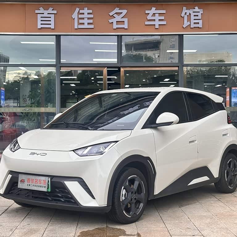 Seagull 2023 Freedom Edition Seagull 2023 Freedom Edition