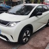 Dolphin 2024 Glory Edition 420km Freedom Edition