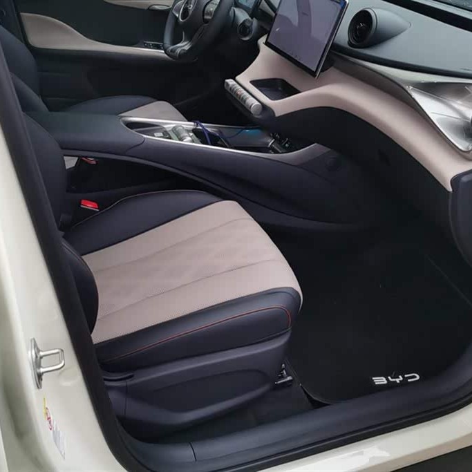 Dolphin 2024 Glory Edition 420km Freedom Edition Dolphin 2024 Glory Edition 420km Freedom Edition