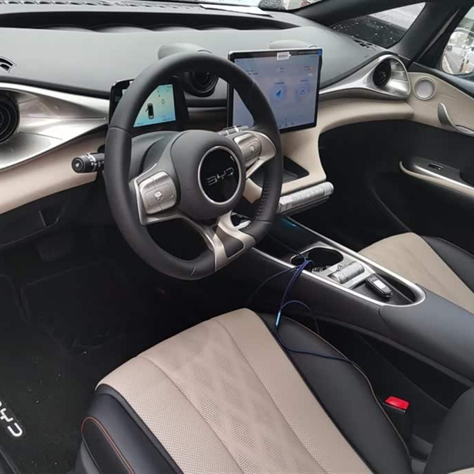 Dolphin 2024 Glory Edition 420km Freedom Edition Dolphin 2024 Glory Edition 420km Freedom Edition