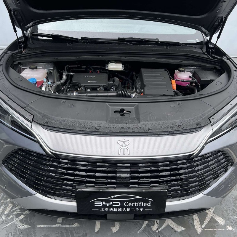 Song L DM-i 2025 Smart Driving Edition 160km Beyond Edition Song L DM-i 2025 Smart Driving Edition 160km Beyond Edition
