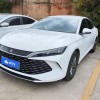 Qin L 2024 DM-i 80KM Leading Edition