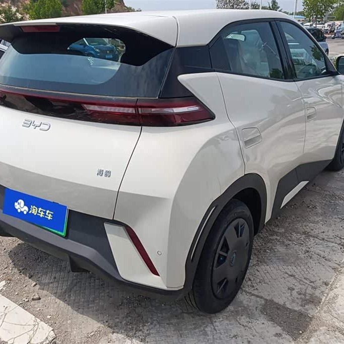 Seagull 2024 Glory Edition 305km Freedom Edition Seagull 2024 Glory Edition 305km Freedom Edition