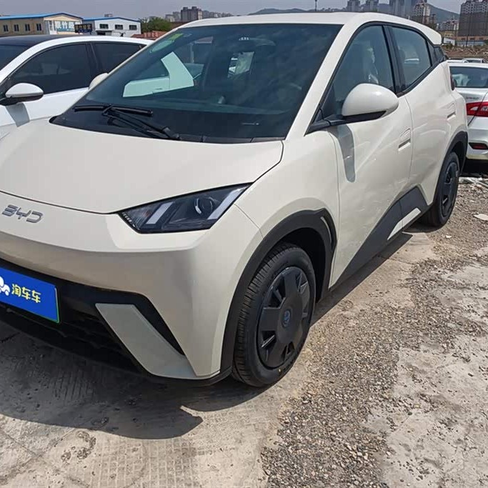 Seagull 2024 Glory Edition 305km Freedom Edition Seagull 2024 Glory Edition 305km Freedom Edition