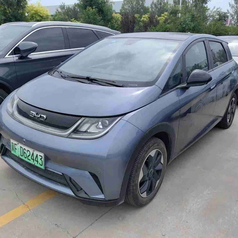 Dolphin 2024 Glory Edition 420km Fashion Edition