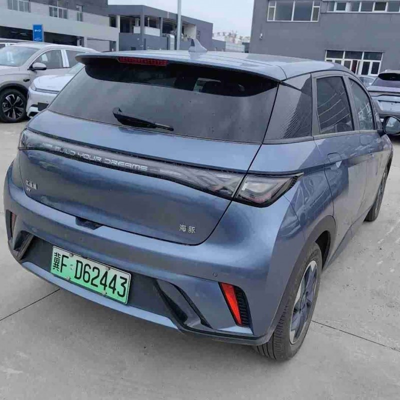 Dolphin 2024 Glory Edition 420km Fashion Edition Dolphin 2024 Glory Edition 420km Fashion Edition