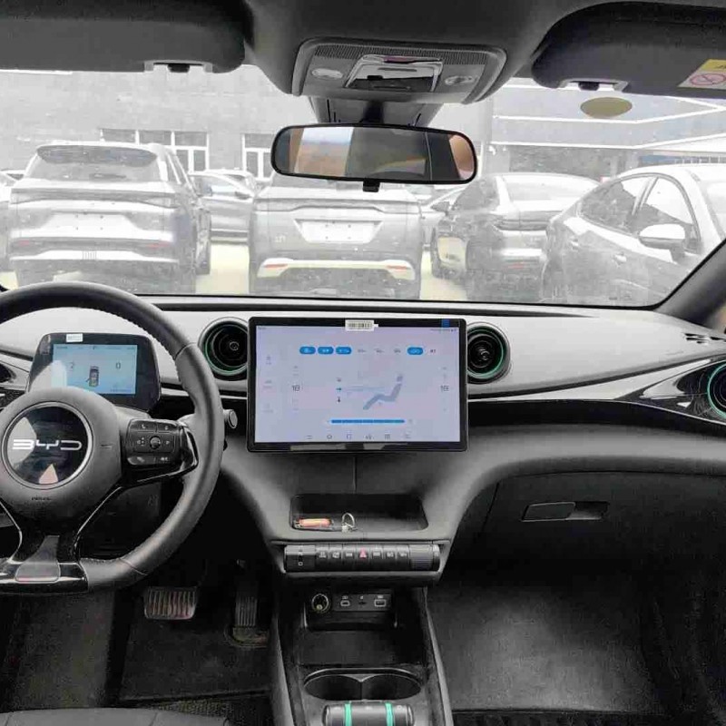 Dolphin 2024 Glory Edition 420km Fashion Edition Dolphin 2024 Glory Edition 420km Fashion Edition