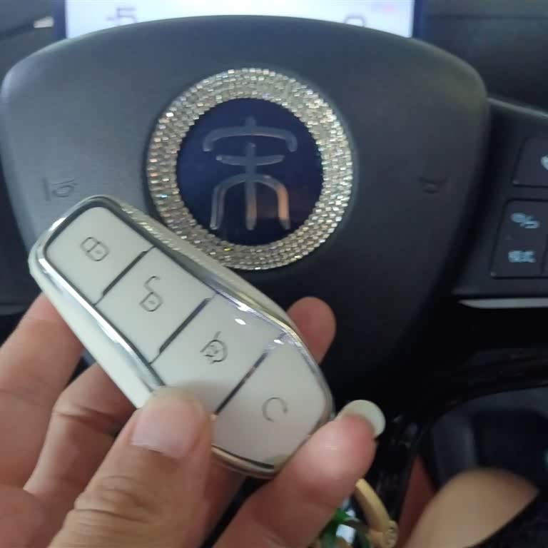 Song Pro New Energy 2024 Honor Edition DM-i 110KM Excellence Edition Song Pro New Energy 2024 Honor Edition DM-i 110KM Excellence Edition
