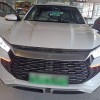 Song Pro New Energy 2024 Honor Edition DM-i 110KM Excellence Edition