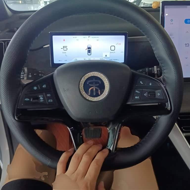 Song Pro New Energy 2024 Honor Edition DM-i 110KM Excellence Edition Song Pro New Energy 2024 Honor Edition DM-i 110KM Excellence Edition