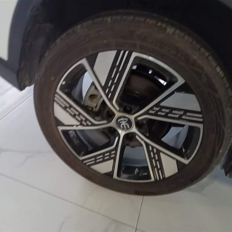 Song Pro New Energy 2024 Honor Edition DM-i 110KM Excellence Edition Song Pro New Energy 2024 Honor Edition DM-i 110KM Excellence Edition