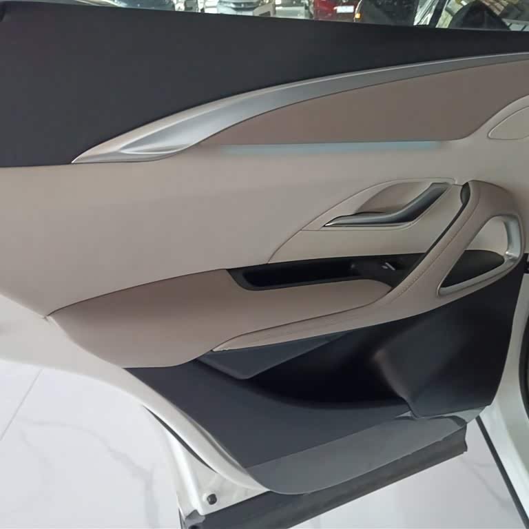 Song Pro New Energy 2024 Honor Edition DM-i 110KM Excellence Edition Song Pro New Energy 2024 Honor Edition DM-i 110KM Excellence Edition