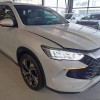 Song Pro New Energy 2024 Honor Edition DM-i 110KM Excellence Edition
