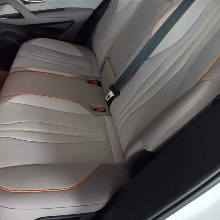 Song Pro New Energy 2024 Honor Edition DM-i 110KM Excellence Edition Song Pro New Energy 2024 Honor Edition DM-i 110KM Excellence Edition