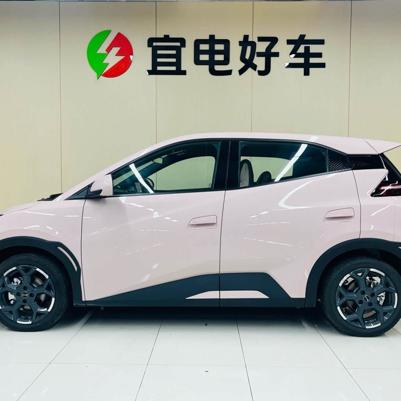 Seagull 2025 305km Freedom Edition Seagull 2025 305km Freedom Edition